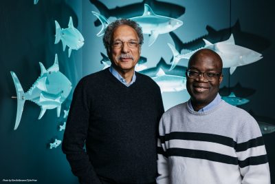 Researchers in collaboration